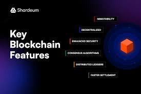 crypto project developer transparency