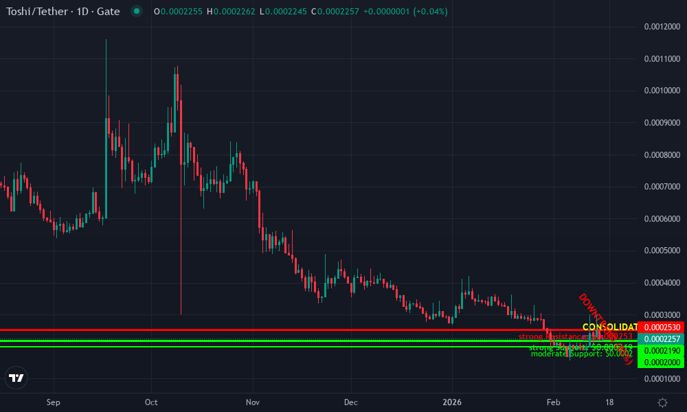 Toshi Memecoin Technical Chart by Market Analyst