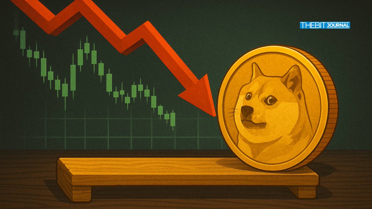 cbDOGE cbXRP yield farming Base DeFi